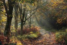walking in wharfedale.jpg